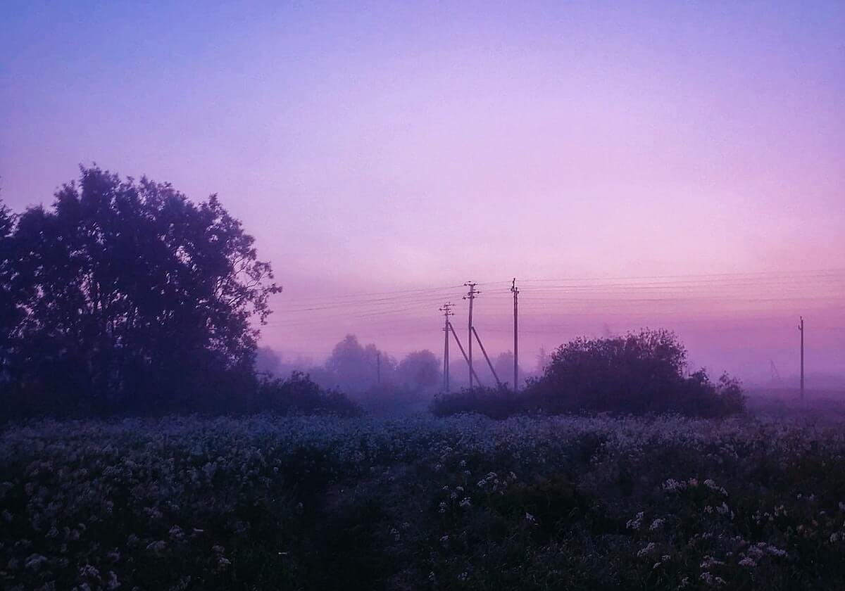 开云体育入口-官方：津门虎与方镜淇、哈达斯、黄嘉辉、王献钧完成续约